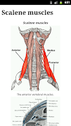 Human Anatomy اسکرین شاٹ 2