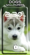 Dogs Wallpapers screenshot 1