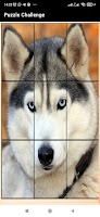 Puzzle Challenge: Brain Teaser screenshot 1