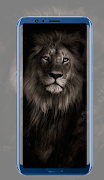 Lion Wallpapers imagem de tela 2
