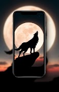 Wolf Wallpapers HD screenshot 1