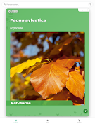 AndyGreen capture d'écran 5