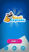 Cat Block Explode 포스터