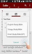 Study Bibles (Multiple Languag 截圖 4