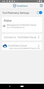 FortiClient Screenshot 2