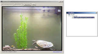 VirtualHere USB Server imagem de tela 2