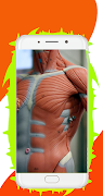 Human All Body System Offline ảnh chụp màn hình 2