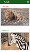Ghid virtual - Sibiu Zoo স্ক্রিনশট 4