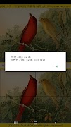 ttpuzzle21 Ekran Görüntüsü 4