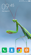 Mantis Wallpapers ภาพหน้าจอ 6