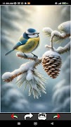 برنامه‌نما Winter Chill Wallpapers عکس از صفحه