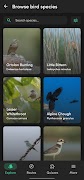e-Pirus Birding Screenshot 2