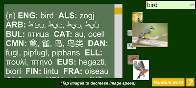 برنامه‌نما Multi Lingual Wordnet عکس از صفحه