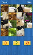 Animals Slide Puzzles screenshot 5