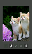 Difuminator penulis hantaran