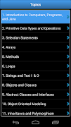 Java Challenger 截图 1