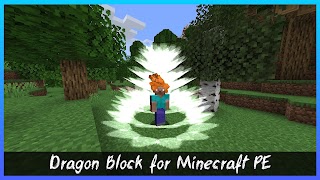 Dragon Block Mod for Minecraft 포스터