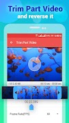Reverse Video screenshot 3