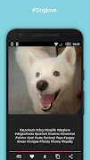 AutoHash screenshot 1