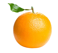 Learn With Fun ภาพหน้าจอ 2