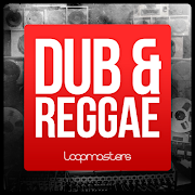 Dub and Reggae for Soundcamp screenshot 3