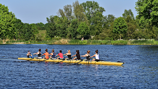 WiPE, camera wipe on video. 截图 1