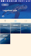 eTurtle screenshot 5