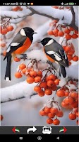 Winter Chill Wallpapers screenshot 1