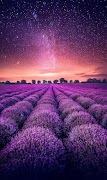 Landscape Wallpapers screenshot 1