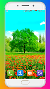 Spring Wallpaper HD скриншот 4