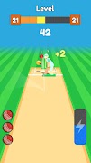 Cricket Bowling poster