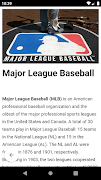پوستر The Baseball Game