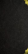 Tom Riddle Diary 海报