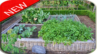 Idea Vegetable Garden screenshot 6