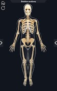 My Skeleton Anatomy capture d'écran 2