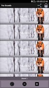 پوستر Fox Sounds