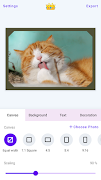 White Border - tanpa foto krop screenshot 7