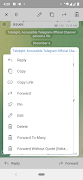 Telelight-Accessible TG Client screenshot 5
