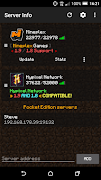 Server Info Minecraft 포스터