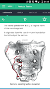 Nervous System Reference Guide screenshot 2
