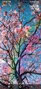 4 Schermata Cherry Blossom Wallpaper