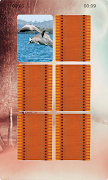 Dolphin Matching скриншот 2