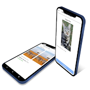 G Editor : Simple Photo Editor скриншот 7