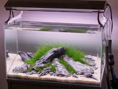 برنامه‌نما Aquascape Design عکس از صفحه