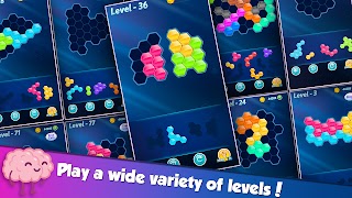 Block! Hexa Puzzle™ screenshot 2
