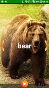Animal Sounds screenshot 6
