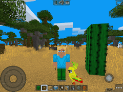 Multicraft الملصق