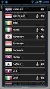 Voice Translator Pro screenshot 3