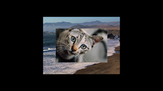 Sliderator ภาพหน้าจอ 5