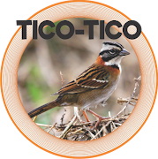 TICO - TICO poster